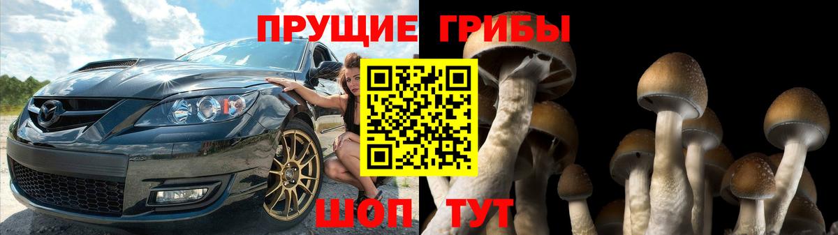 Галлюциногенные грибы прущие грибы  Вход с VPN  Псилоцибиновые грибы GOLDEN TEACHER  Владикавказ 