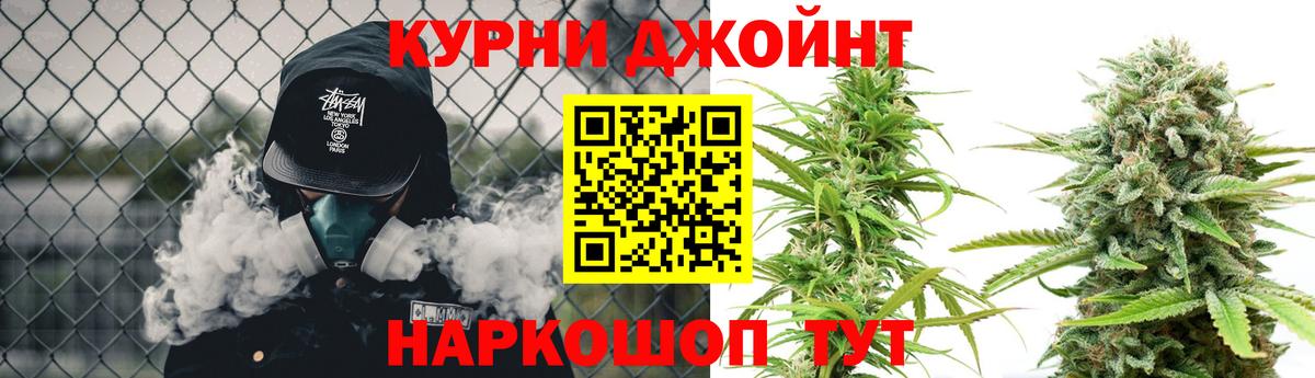 Шишки марихуана конопля Владикавказ